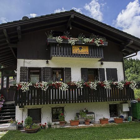B&B La Genzianella Perarolo di Cadore Buitenkant foto