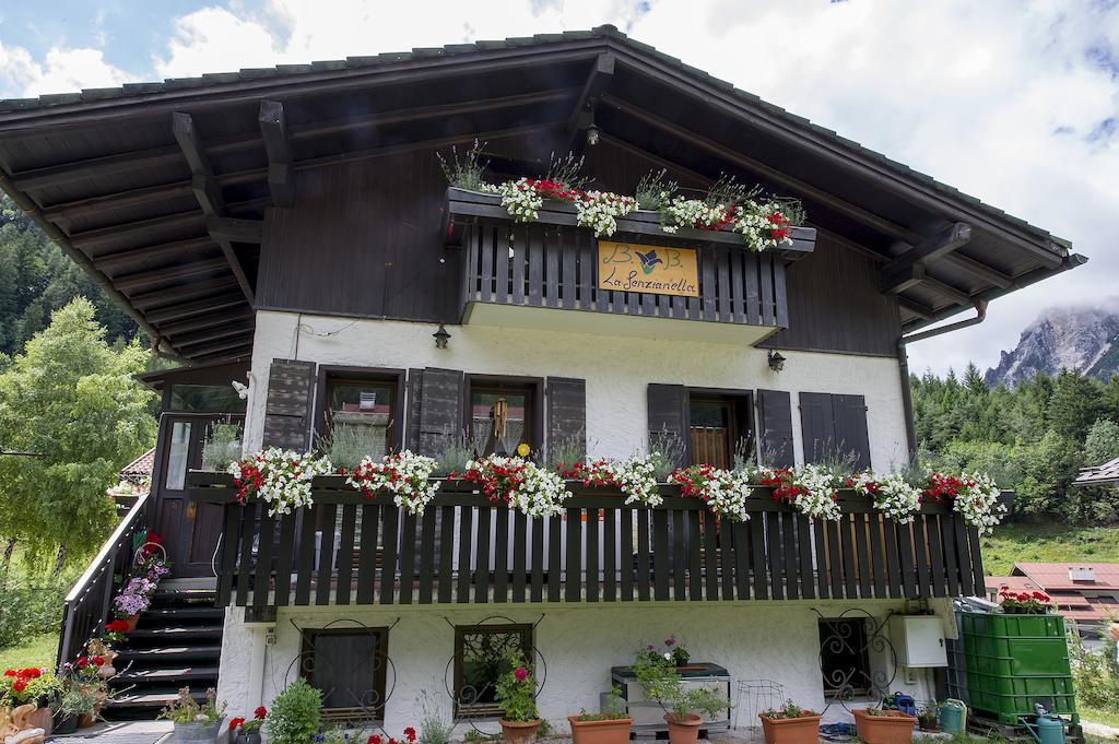 B&B La Genzianella Perarolo di Cadore Buitenkant foto