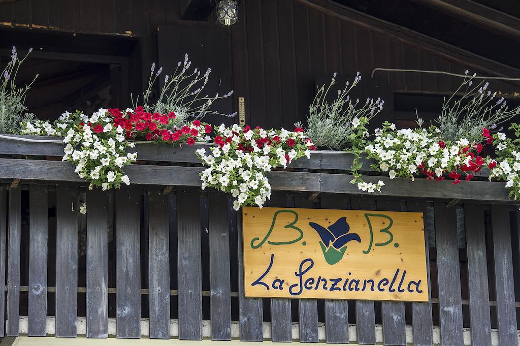 B&B La Genzianella Perarolo di Cadore Buitenkant foto