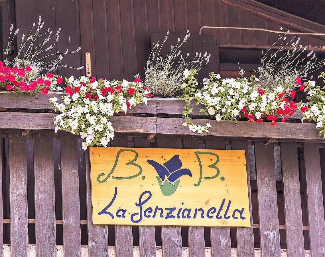 B&B La Genzianella Perarolo di Cadore Buitenkant foto